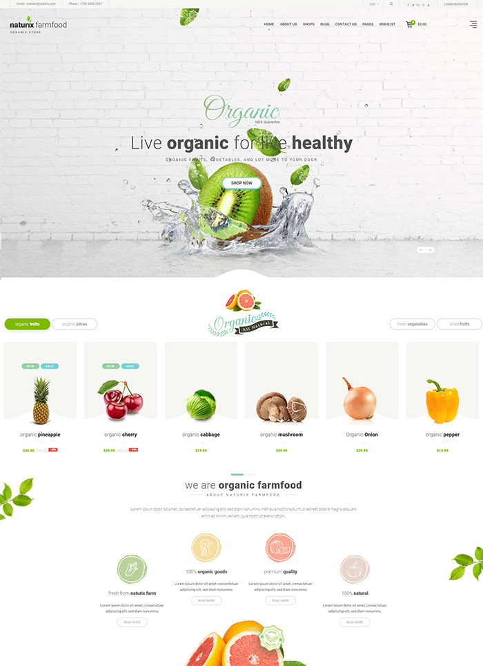 Naturix - Organic Responsive Shopify Theme 