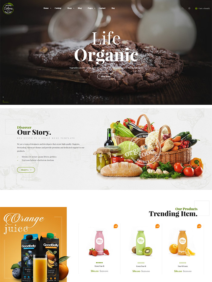 Colora - Organic Responsive Shopify Theme