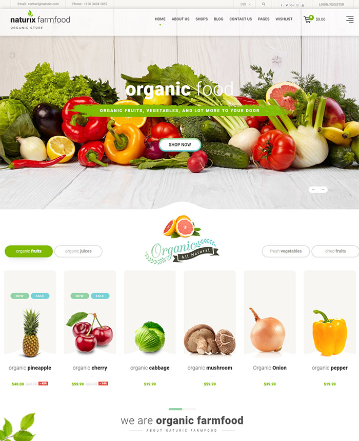 Naturix - Organic Responsive Shopify Theme