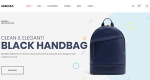 Shoes & bags theme from Shopify offers elegance in online stores